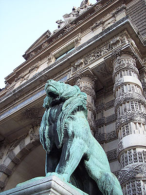 lions